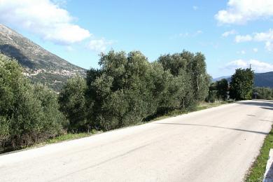 Agricultural Land Plot Sale - MAKRIOTIKA, MUNICIPALITY OF PYLAROS - NORTHE