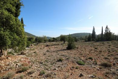 Agricultural Land Plot Sale - TROIANATA, MUNICIPALITY OF ARGOSTOLI - SOUT