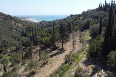 Agricultural Land Plot Sale - RATZAKLI, MUNICIPALITY OF ELIOS - SOUTHEAS