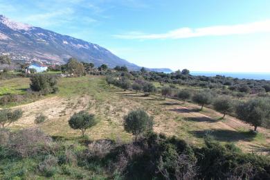 Agricultural Land Plot Sale - KARAVADOS, MUNICIPALITY OF LIVATHOS - SOUTH