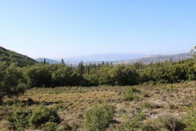 Gettaione Vendita - TROIANATA, COMUNE DI ARGOSTOLI - SUDOVEST