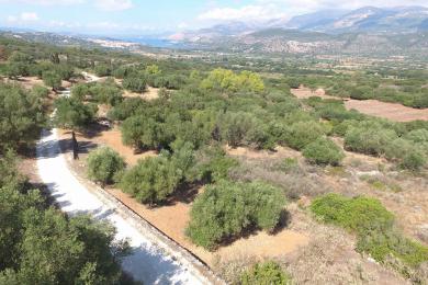 Agricultural Land Plot Sale - MENEGATA, MUNICIPALITY OF LIVATHOS - SOUTH