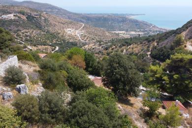 Land Sale - MARKOPOULO, MUNICIPALITY OF ELIOS - SOUTHEAS