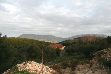 Land Sale - ANTIPATA, MUNICIPALITY OF ERISSOS - NORTH