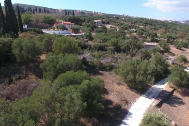 Land Sale - MENEGATA, MUNICIPALITY OF LIVATHOS - SOUTH