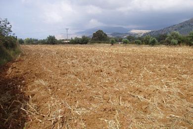 Agricultural Land Plot Sale - KRANIA, MUNICIPALITY OF ARGOSTOLI - SOUT