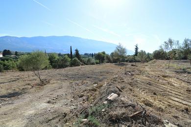 Agricultural Land Plot Sale - KOUNTOURATA, MUNICIPALITY OF LIVATHOS - SOUTH