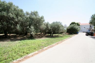 Land Sale - SARLATA, MUNICIPALITY OF LIVATHOS - SOUTH