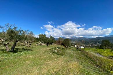 Agricultural Land Plot Sale - SPILIA, MUNICIPALITY OF ARGOSTOLI - SOUT