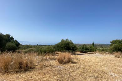 Agricultural Land Plot Sale - MOUSATA, MUNICIPALITY OF LIVATHOS - SOUTH