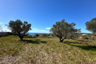 Agricultural Land Plot Sale - KLISMATA, MUNICIPALITY OF LIVATHOS - SOUTH