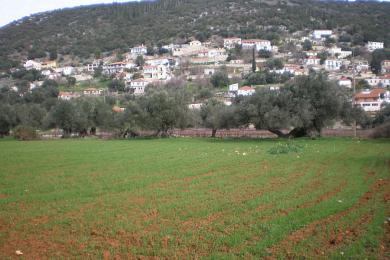 Terreno Vendita - TROIANATA, COMUNE DI ARGOSTOLI - SUDOVEST