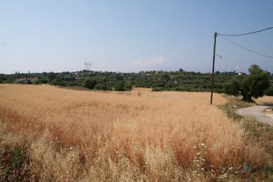 Land Sale - MAVRATA, MUNICIPALITY OF ELIOS - SOUTHEAS