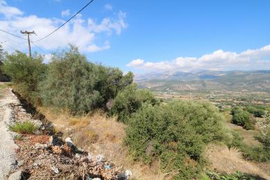 Land Sale - KOMBOTHEKRATA, MUNICIPALITY OF ARGOSTOLI - SOUT