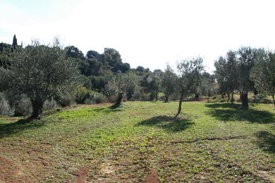 Agricultural Land Plot Sale - KALLIGATA, MUNICIPALITY OF LIVATHOS - SOUTH