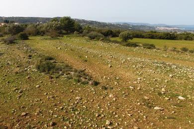 Agricultural Land Plot Sale - LAKITHRA, MUNICIPALITY OF LIVATHOS - SOUTH