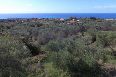 Agricultural Land Plot Sale - LAKITHRA, MUNICIPALITY OF LIVATHOS - SOUTH