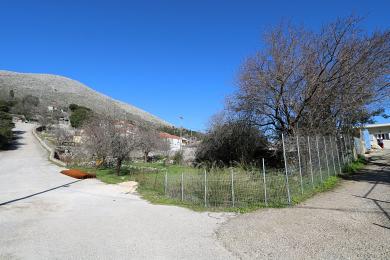 Terreno Vendita - NIOCHORI, COMUNE DI ERISSOS - NORD