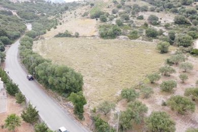 Land Sale - TROIANATA, MUNICIPALITY OF ARGOSTOLI - SOUT