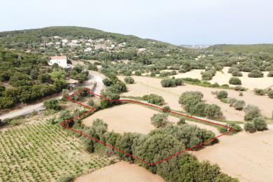 Land Sale - TROIANATA, MUNICIPALITY OF ARGOSTOLI - SOUT