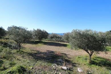 Agricultural Land Plot Sale - VLACHATA, MUNICIPALITY OF LIVATHOS - SOUTH