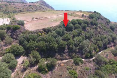 Agricultural Land Plot Sale - MAVRATA, MUNICIPALITY OF ELIOS - SOUTHEAS