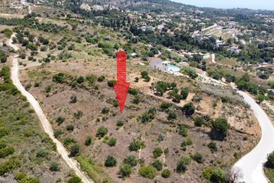 Agricultural Land Plot Sale - RATZAKLI, MUNICIPALITY OF ELIOS - SOUTHEAS