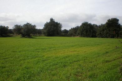 Land Sale - TROIANATA, MUNICIPALITY OF ARGOSTOLI - SOUT