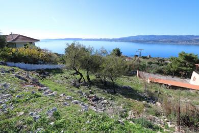 Agricultural Land Plot Sale - FARSA, MUNICIPALITY OF ARGOSTOLI - SOUT