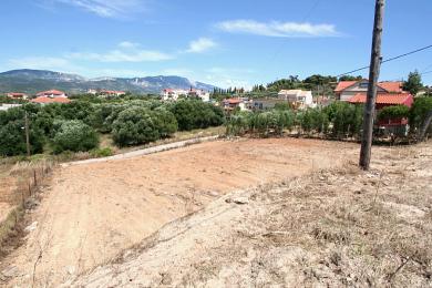 Terreno Vendita - HELMATA, COMUNE DI ARGOSTOLI - SUDOVEST