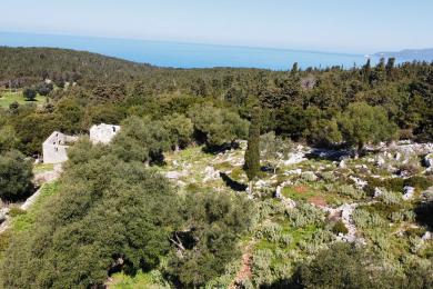 Land Sale - ANTIPATA, MUNICIPALITY OF ERISSOS - NORTH