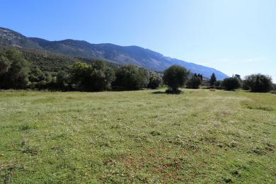 Agricultural Land Plot Sale - TRAPEZAKI, MUNICIPALITY OF LIVATHOS - SOUTH