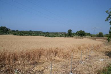 Agricultural Land Plot Sale - MAVRATA, MUNICIPALITY OF ELIOS - SOUTHEAS