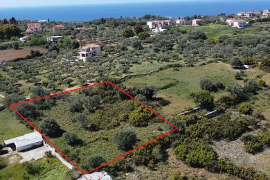 Agricultural Land Plot Sale - LAKITHRA, MUNICIPALITY OF LIVATHOS - SOUTH