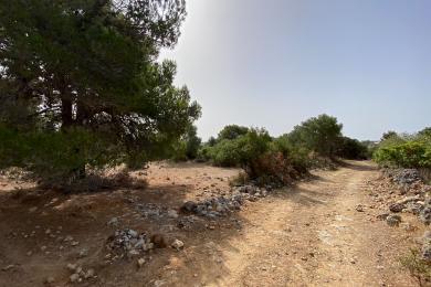 Agricultural Land Plot Sale - KERAMIES, MUNICIPALITY OF LIVATHOS - SOUTH