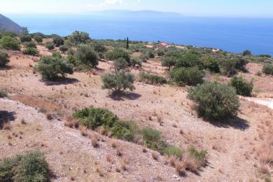 Agricultural Land Plot Sale - PLATIES, MUNICIPALITY OF ELIOS - SOUTHEAS