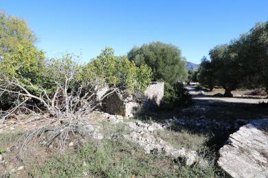 Land Sale - EVRETI, MUNICIPALITY OF ERISSOS - NORTH