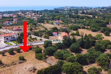 Agricultural Land Plot Sale - DORIZATA, MUNICIPALITY OF LIVATHOS - SOUTH