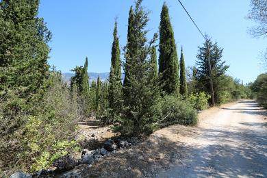 Agricultural Land Plot Sale - PESSADA, MUNICIPALITY OF LIVATHOS - SOUTH