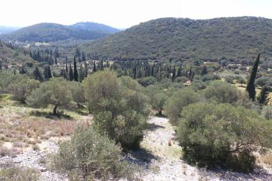 Agricultural Land Plot Sale - TROIANATA, MUNICIPALITY OF ARGOSTOLI - SOUT