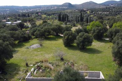 Land Sale - PORIARATA, MUNICIPALITY OF LIVATHOS - SOUTH