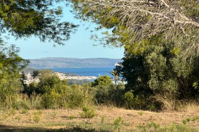 Terreno Vendita - FOKATA, COMUNE DI LIVATHOS - SUDOVEST