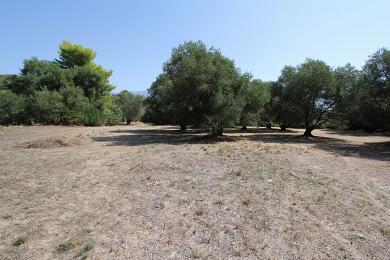 Land Sale - KOURKOUMELATA, MUNICIPALITY OF LIVATHOS - SOUTH