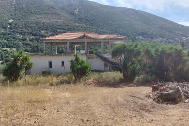 Agricultural Land Plot Sale - PNEVMATIKATA, MUNICIPALITY OF PYLAROS - NORTHE