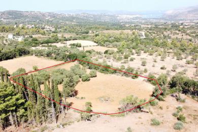 Agricultural Land Plot Sale - FOKATA, MUNICIPALITY OF LIVATHOS - SOUTH