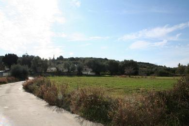 Land Sale - THIRAMONA, MUNICIPALITY OF ELIOS - SOUTHEAS