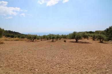 Agricultural Land Plot Sale - VLACHATA, MUNICIPALITY OF LIVATHOS - SOUTH