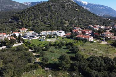 Agricultural Land Plot Sale - TRAVLIATA, MUNICIPALITY OF LIVATHOS - SOUTH