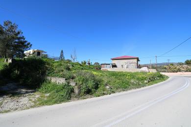 Land Sale - MANTZAVINATA, MUNICIPALITY OF PALIKI - WEST