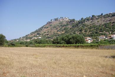 Land Sale - PERATATA, MUNICIPALITY OF LIVATHOS - SOUTH